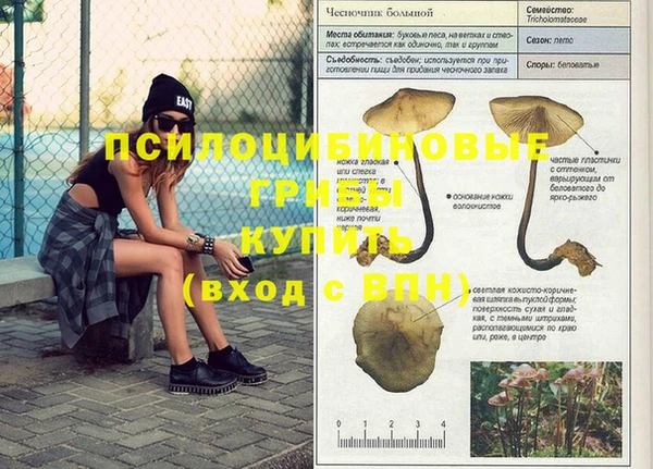героин Белокуриха
