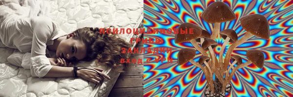 мефедрон Богородицк