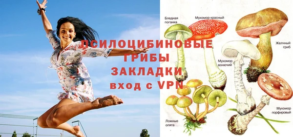 соль ск Белоозёрский